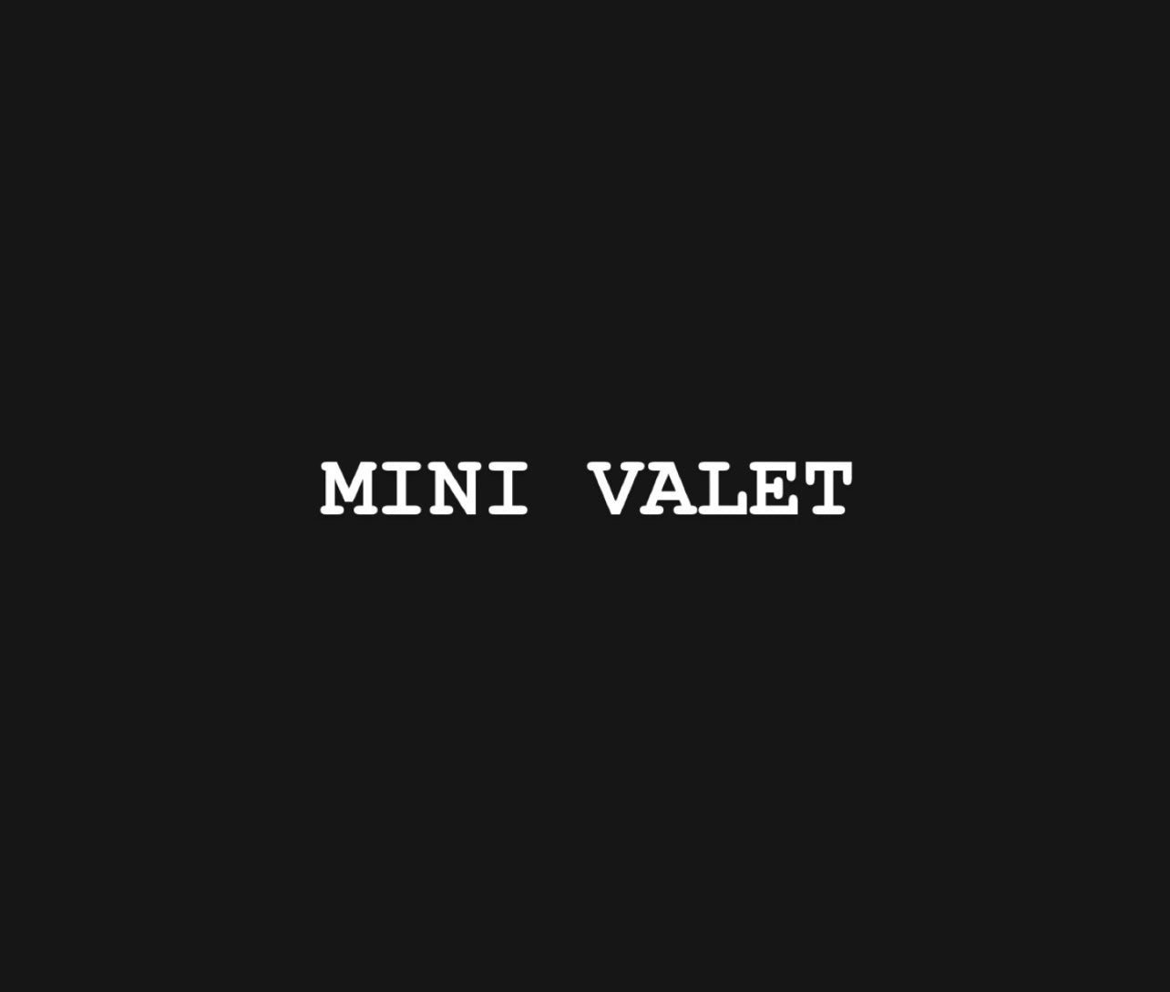 Mini Valet